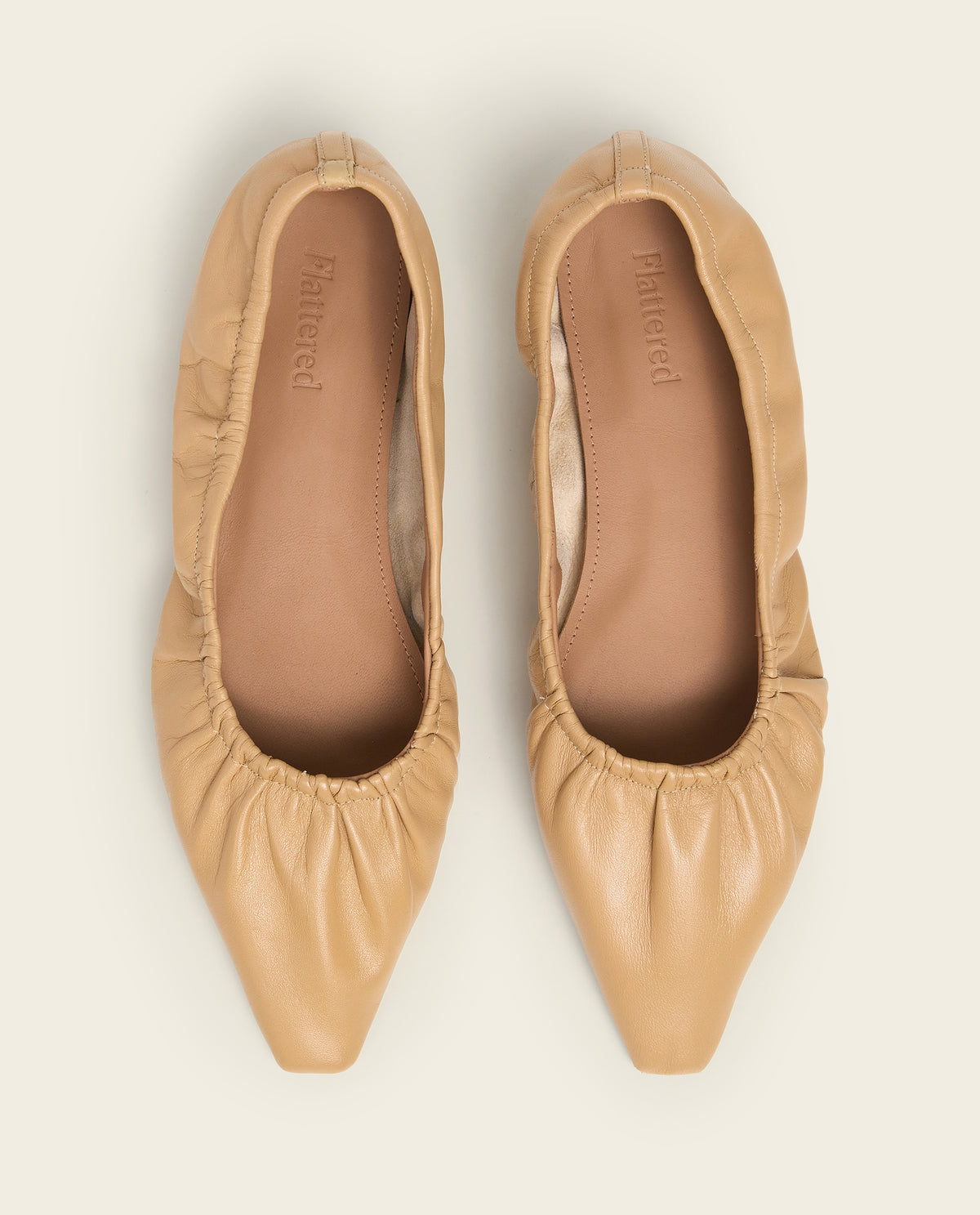 Isa Leather Biscotti